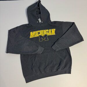 University of Michigan Wolverines Collegiate Logo Grey Hoodie Sweatshirt Large